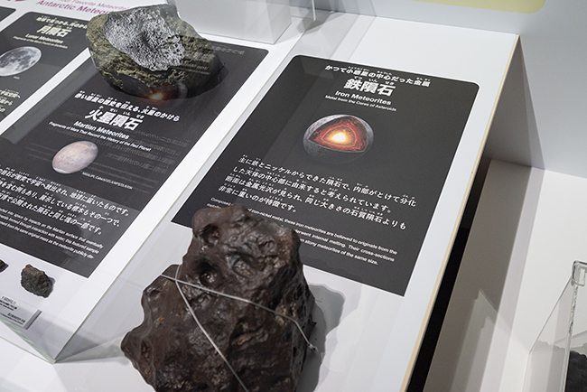 特別展「大南極展」記者発表会・内覧会