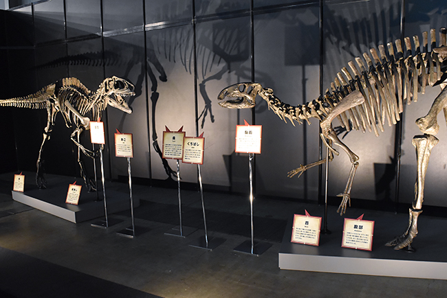 ヨコハマ恐竜展2026 ～恐竜の食卓大図鑑～体験レポート