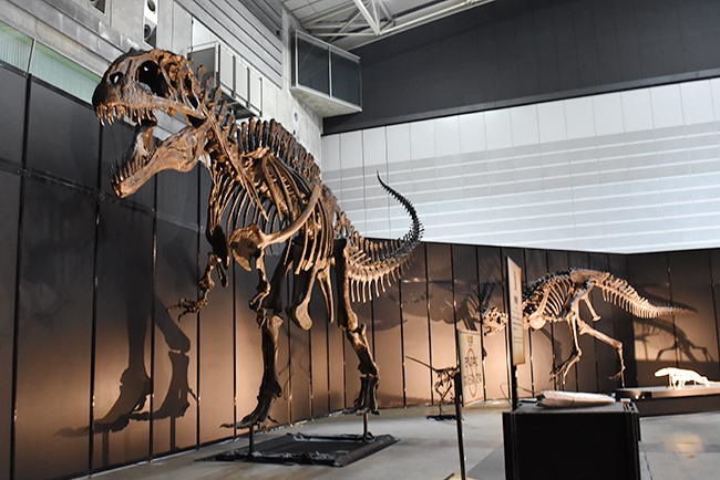 ヨコハマ恐竜展2026 ～恐竜の食卓大図鑑～体験レポート