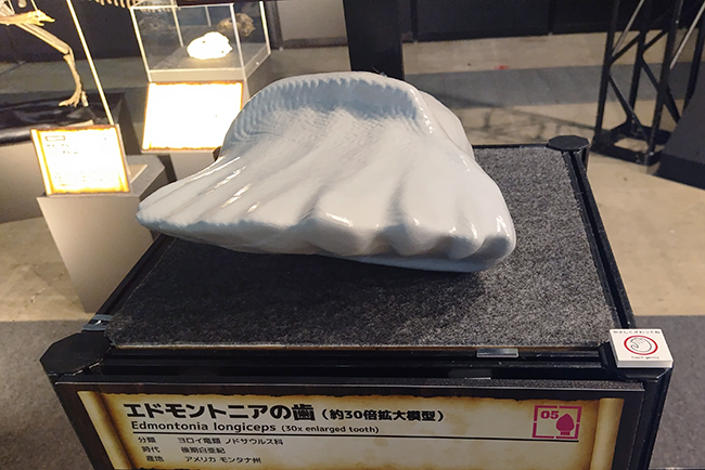 ヨコハマ恐竜展2026 ～恐竜の食卓大図鑑～体験レポート