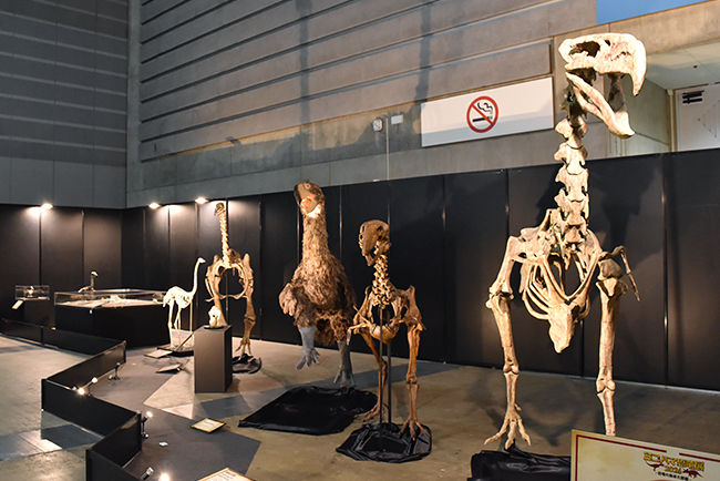ヨコハマ恐竜展2026 ～恐竜の食卓大図鑑～体験レポート