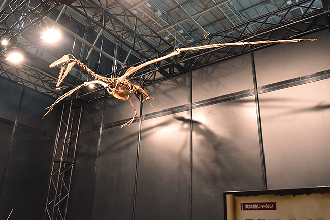 ヨコハマ恐竜展2026 ～恐竜の食卓大図鑑～体験レポート