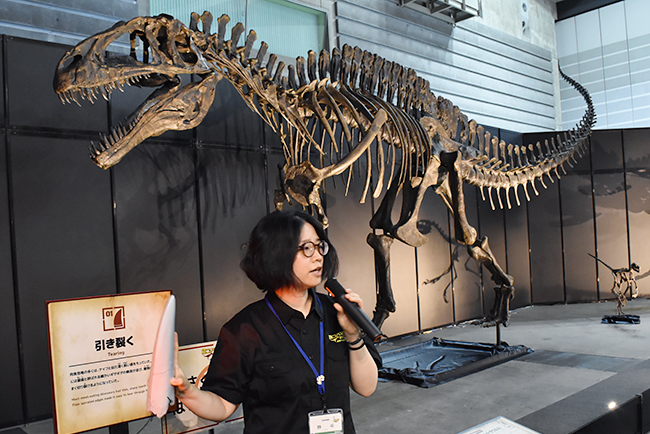 ヨコハマ恐竜展2026 ～恐竜の食卓大図鑑～体験レポート