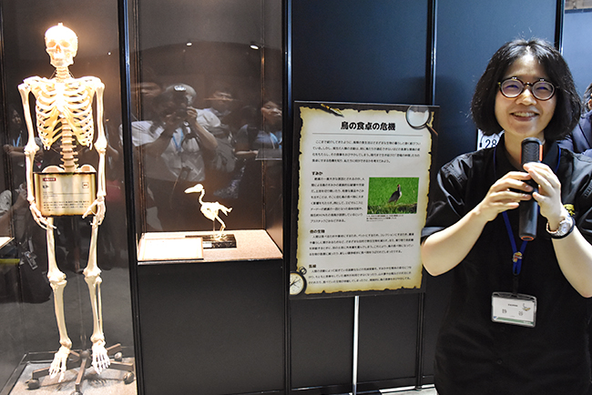 ヨコハマ恐竜展2026 ～恐竜の食卓大図鑑～体験レポート