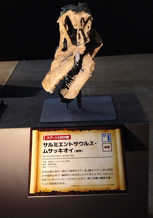 ヨコハマ恐竜展2026 ～恐竜の食卓大図鑑～体験レポート