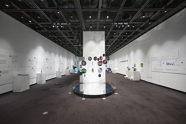 特別展示Nikon Small World / NIKON JOICO AWARD展『ミクロの世界 -生命(いのち)の未来を照らす-』