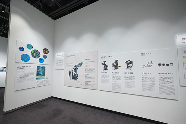 特別展示Nikon Small World / NIKON JOICO AWARD展『ミクロの世界 -生命(いのち)の未来を照らす-』