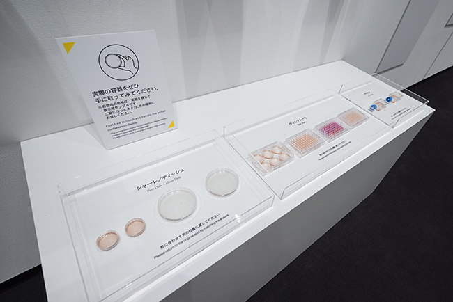 特別展示Nikon Small World / NIKON JOICO AWARD展『ミクロの世界 -生命(いのち)の未来を照らす-』