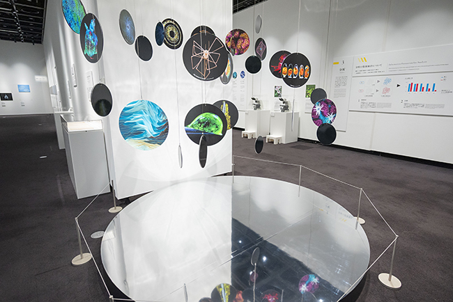 特別展示Nikon Small World / NIKON JOICO AWARD展『ミクロの世界 -生命(いのち)の未来を照らす-』