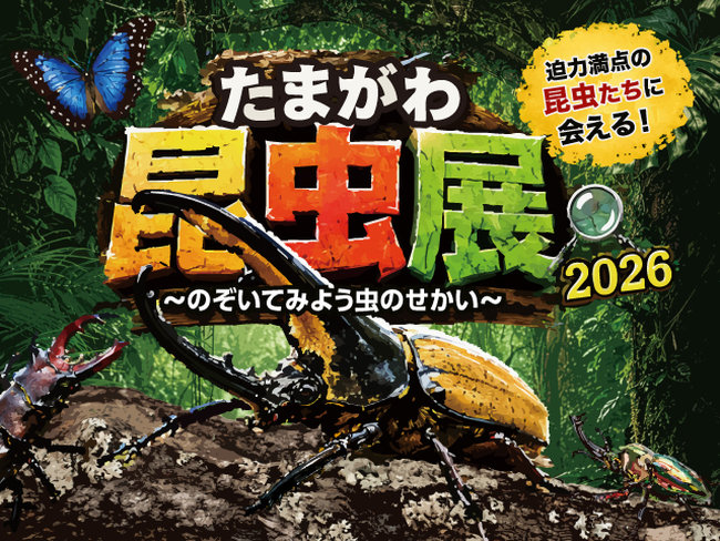 20260814_event_insectexpo2026_19