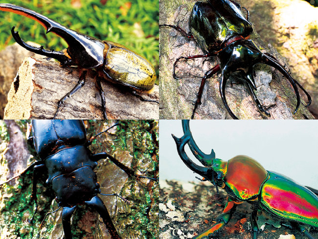 20260814_event_insectexpo2026_23
