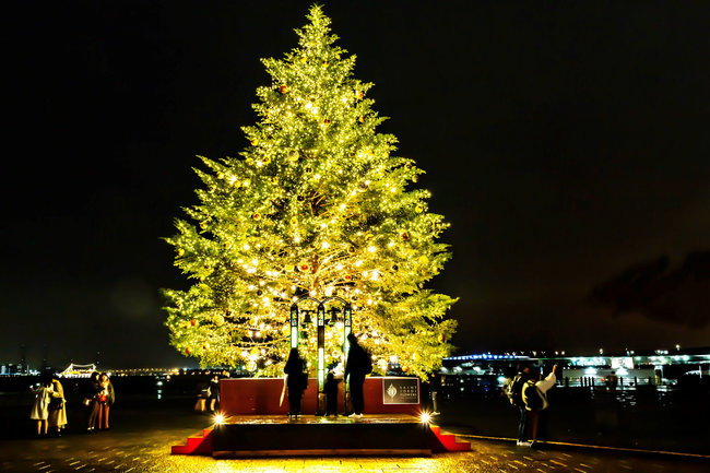 20261120_event_akarengachristmas_1